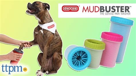 mud paw cleaner Malaysia|[WMP] Mud Remover for Dog Paws Mud Paw Cleaner for.